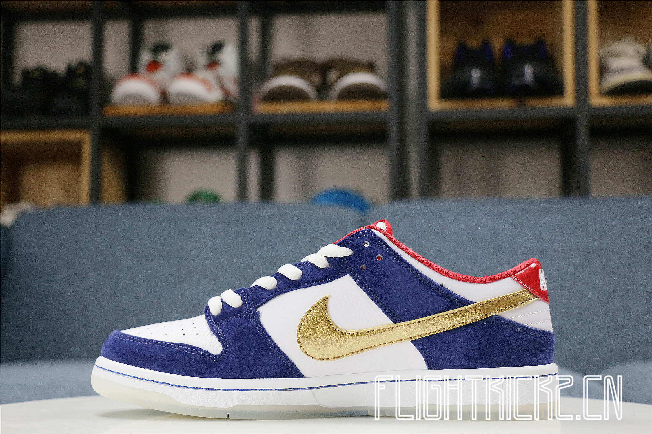 Nike Dunk SB Low Ishod Wair BMW