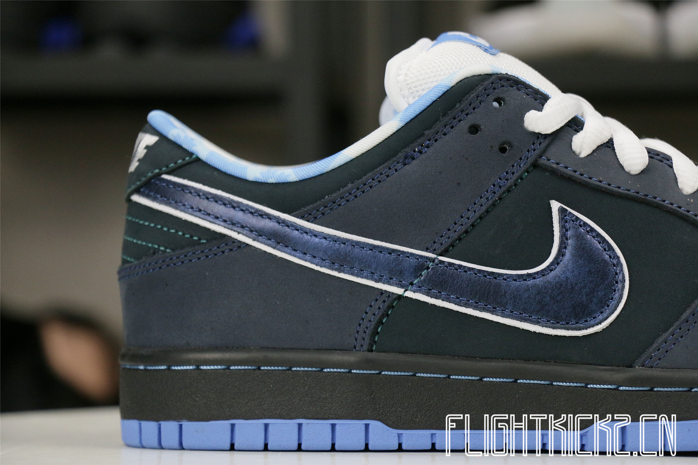 Nike Dunk SB Low Blue Lobster