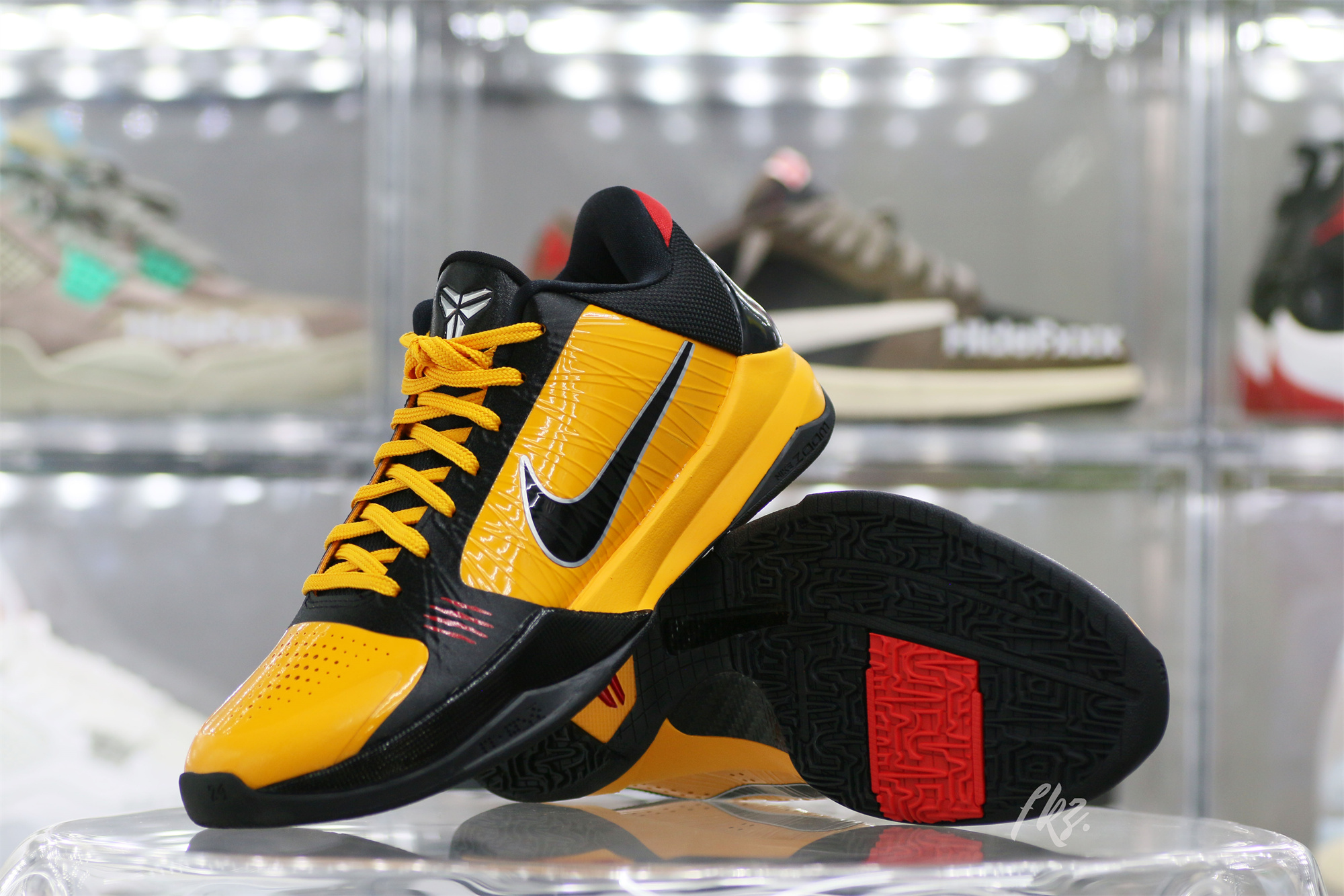 Nike Kobe 5 Protro Bruce Lee (Up to Size 14)(A1 Batch)