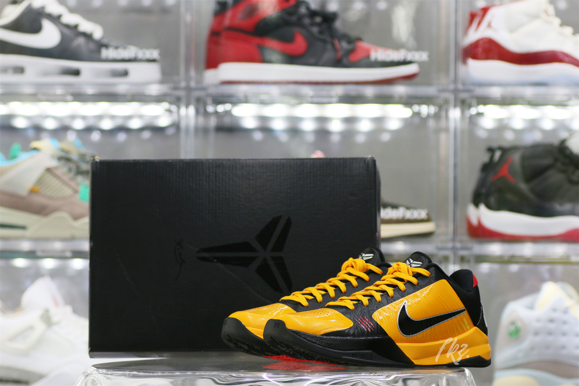 Nike Kobe 5 Protro Bruce Lee (Up to Size 14)(A1 Batch)