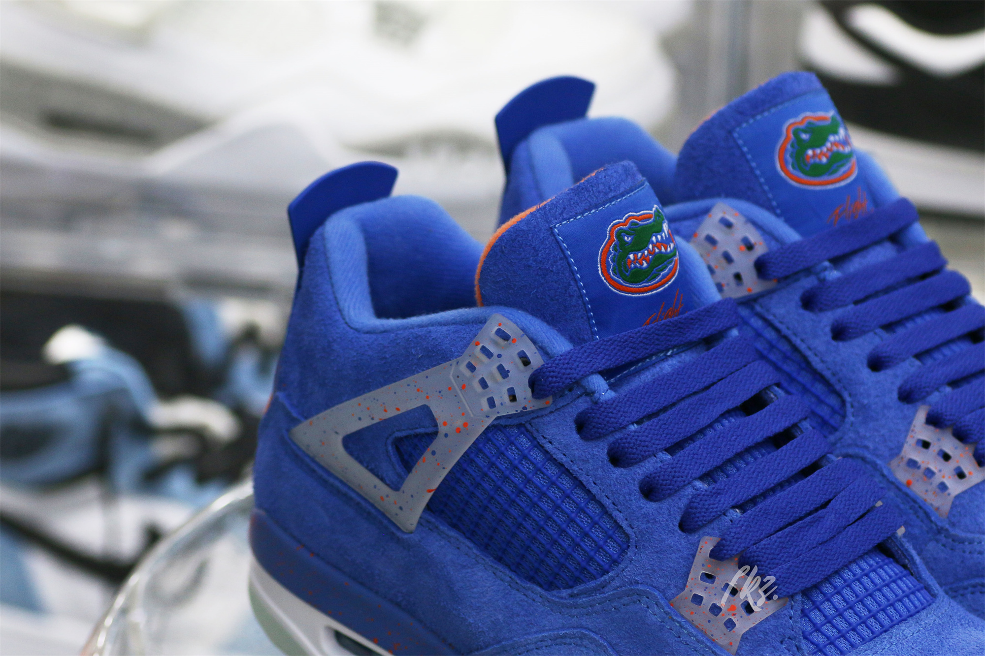 Air Jordan 4 Florida Gators PE