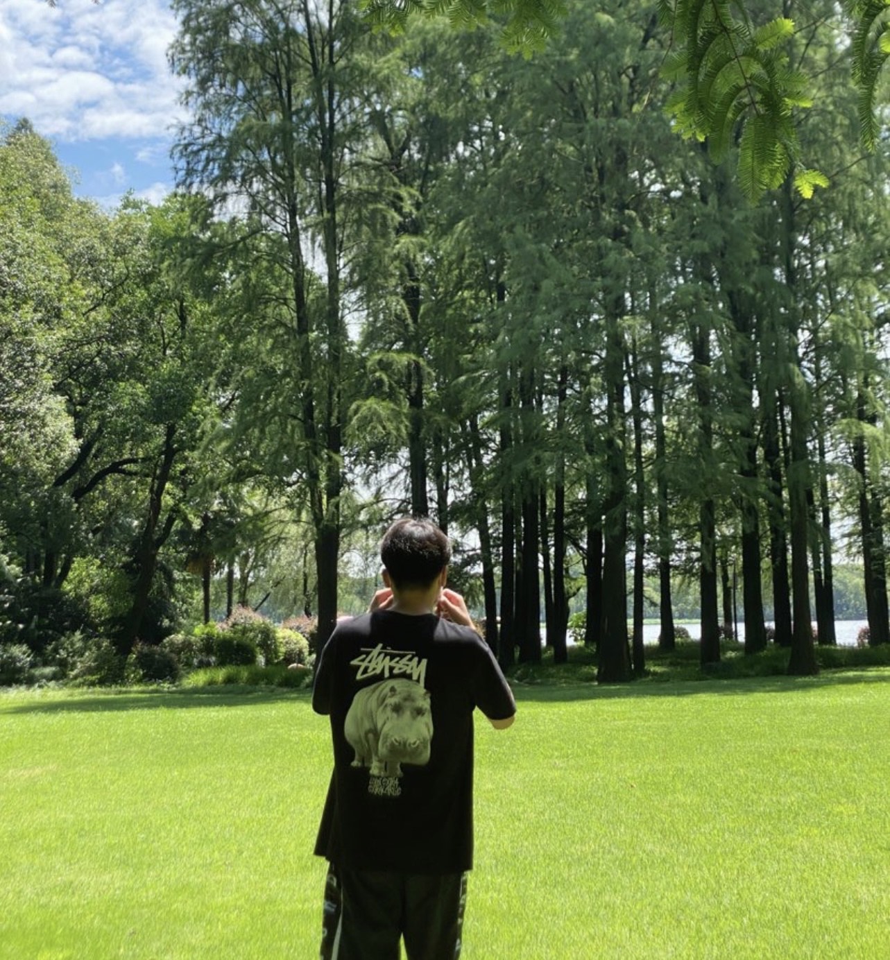 Stussy hippo print short sleeves