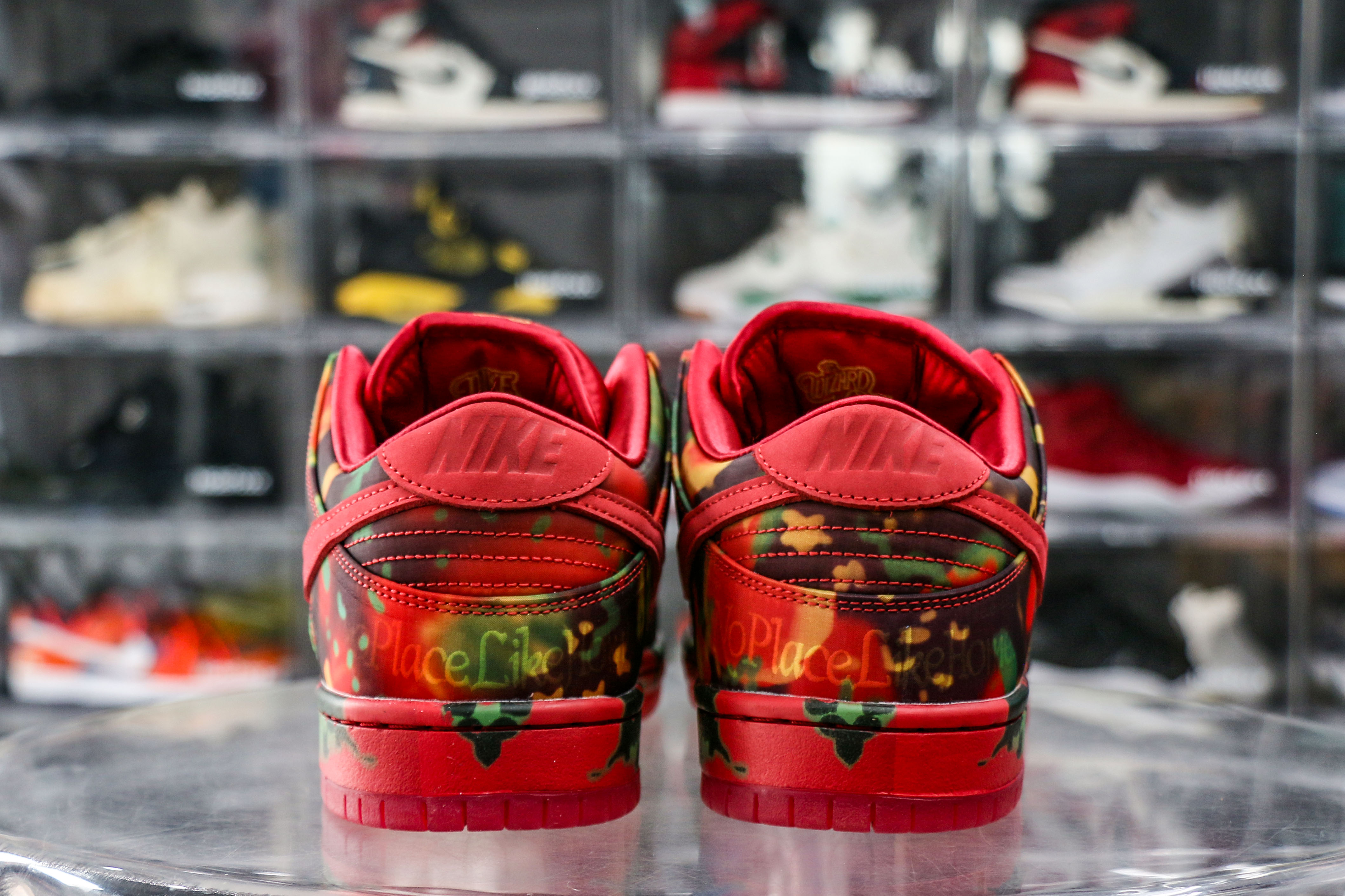 Nike SB Dunk Low The Wizard of Oz Poppy Field