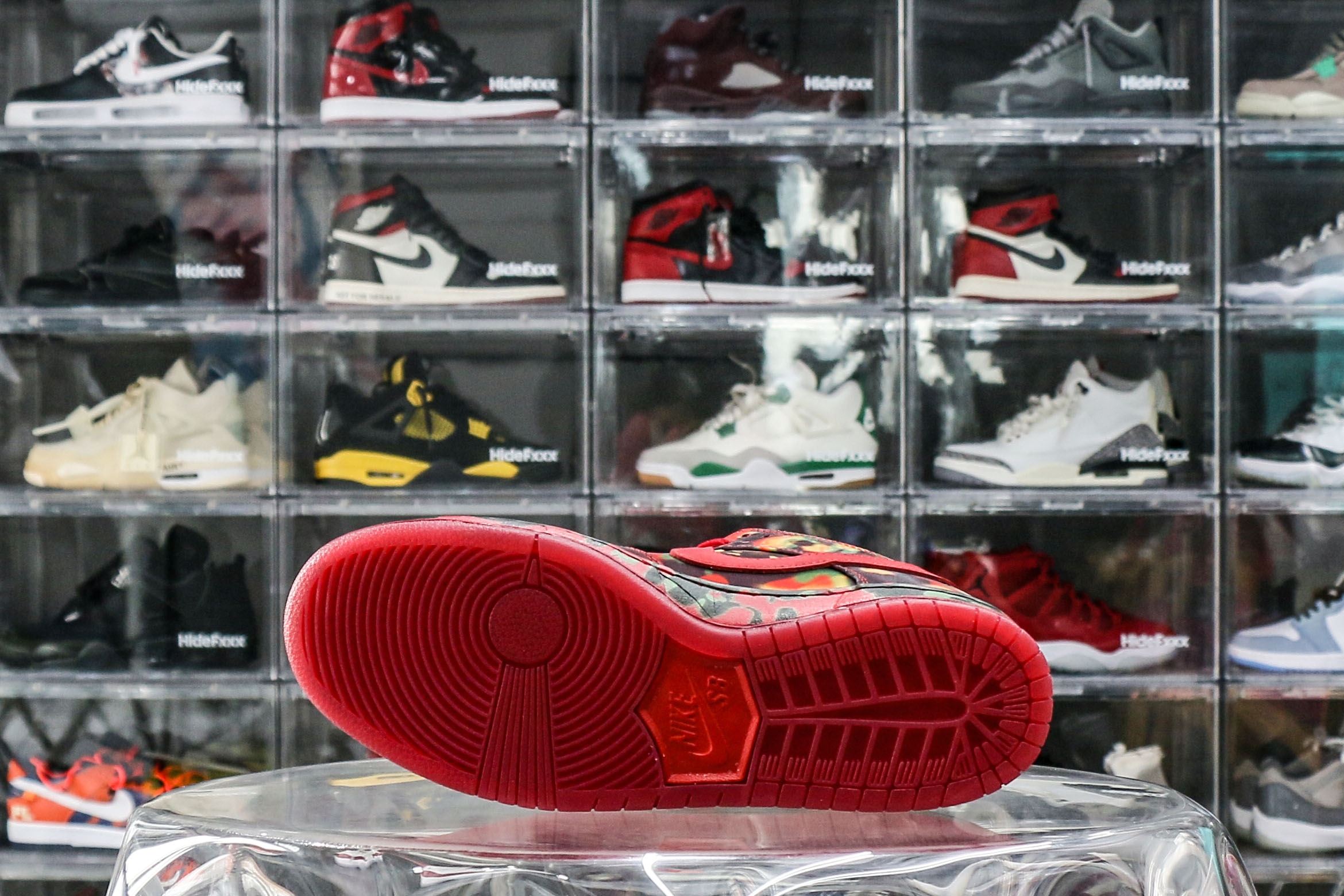 Nike SB Dunk Low The Wizard of Oz Poppy Field