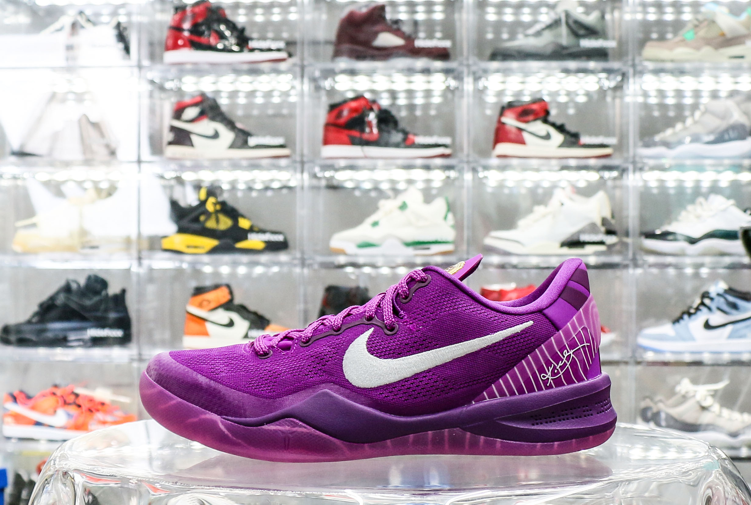 Nike Kobe 8 Protro EYBL 2024（Ln5 A1）