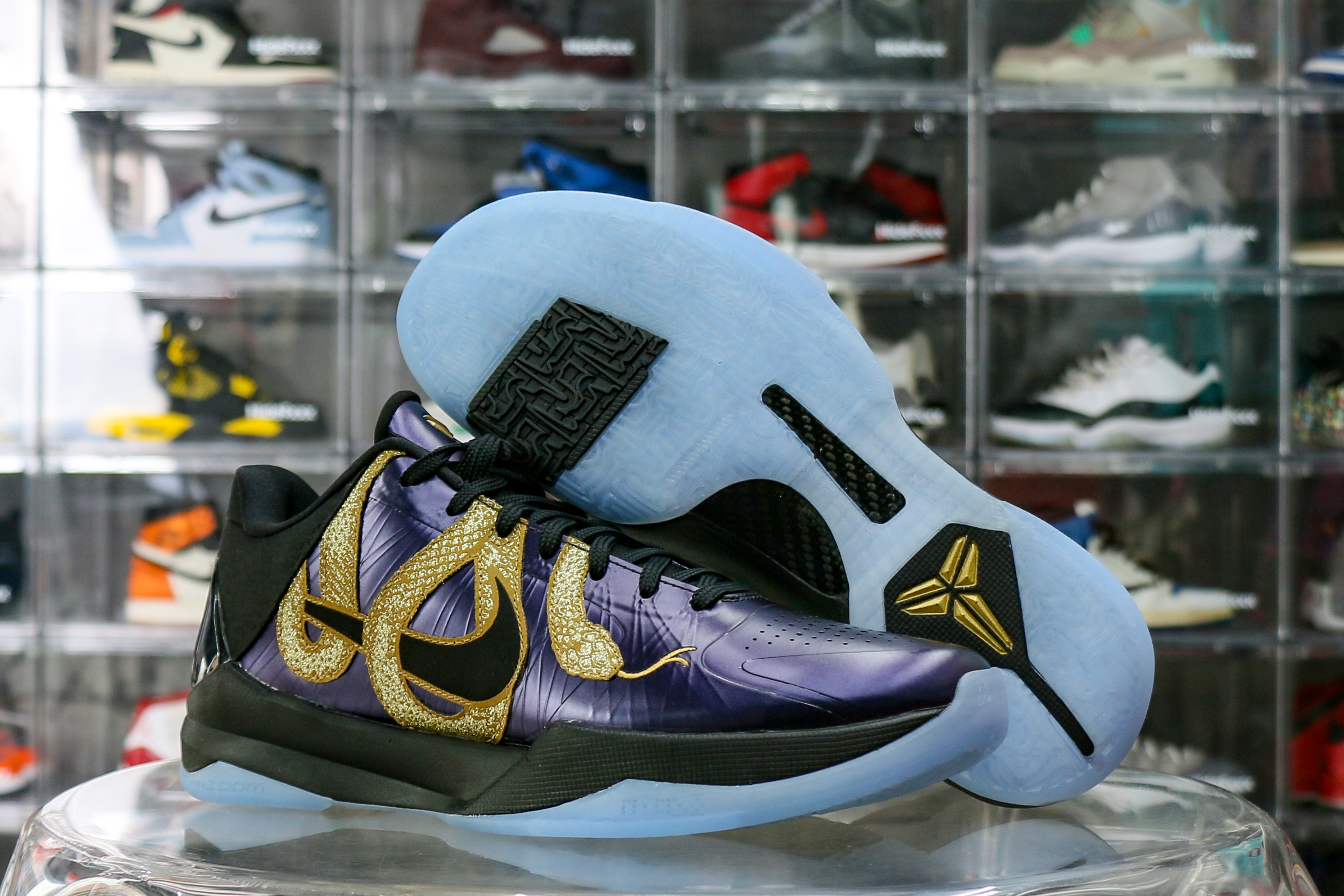 Nike Kobe 5 Protro Year of the Mamba Eggplant 2025（Ln5 A1）