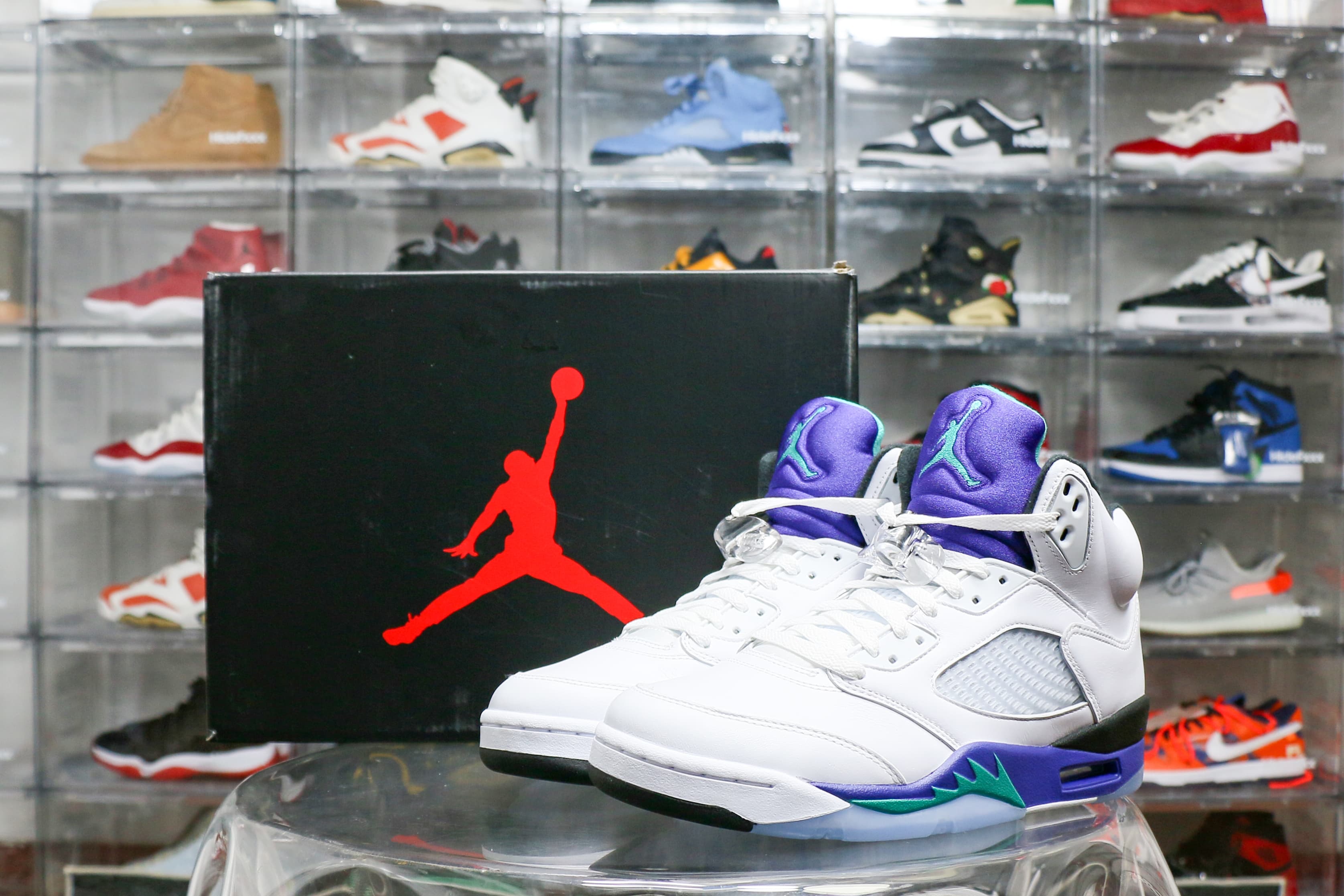 Air Jordan 5 Retro Grape 2025 (Ln5 A1)