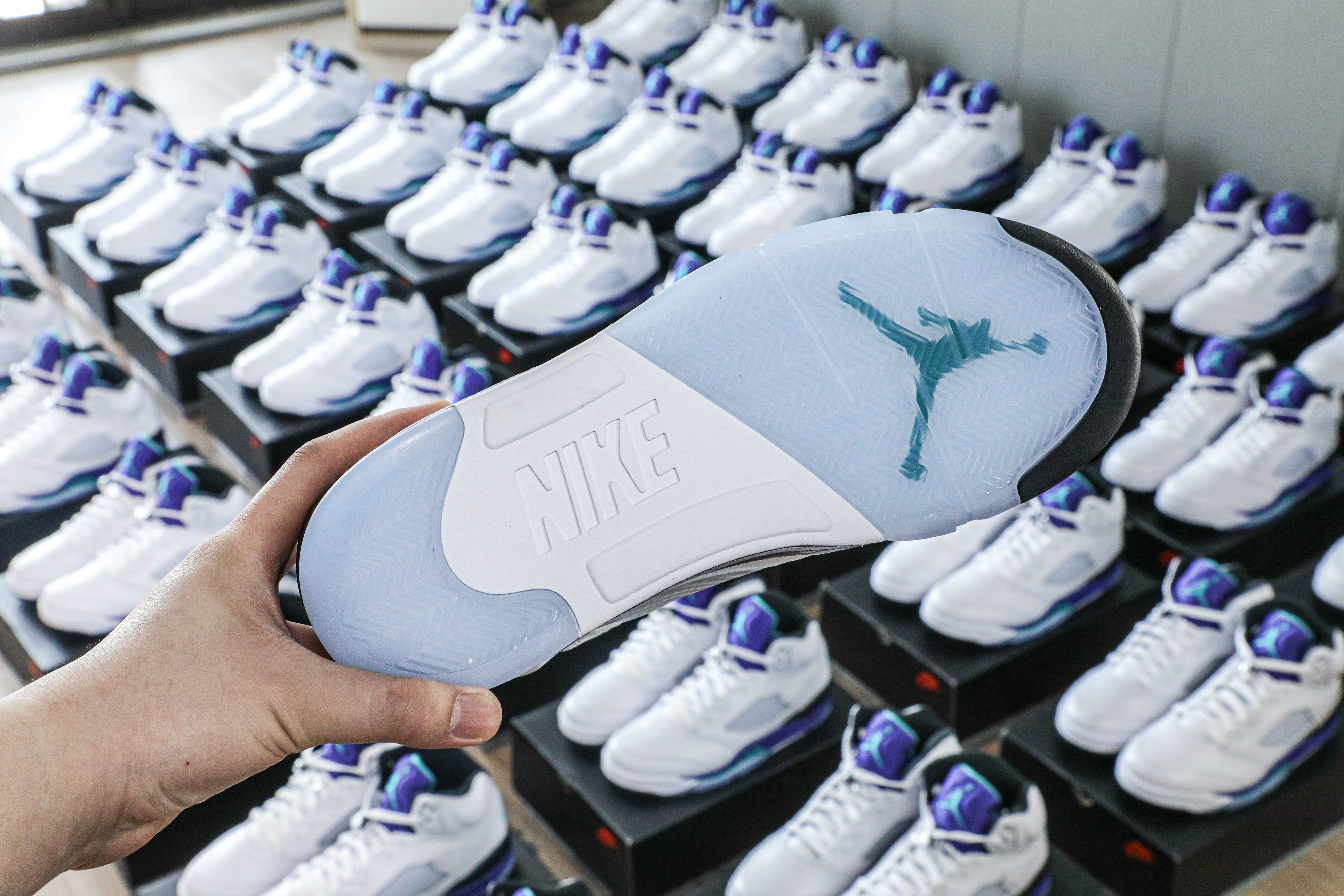 Air Jordan 5 Retro Grape 2025 (Ln5 A1)