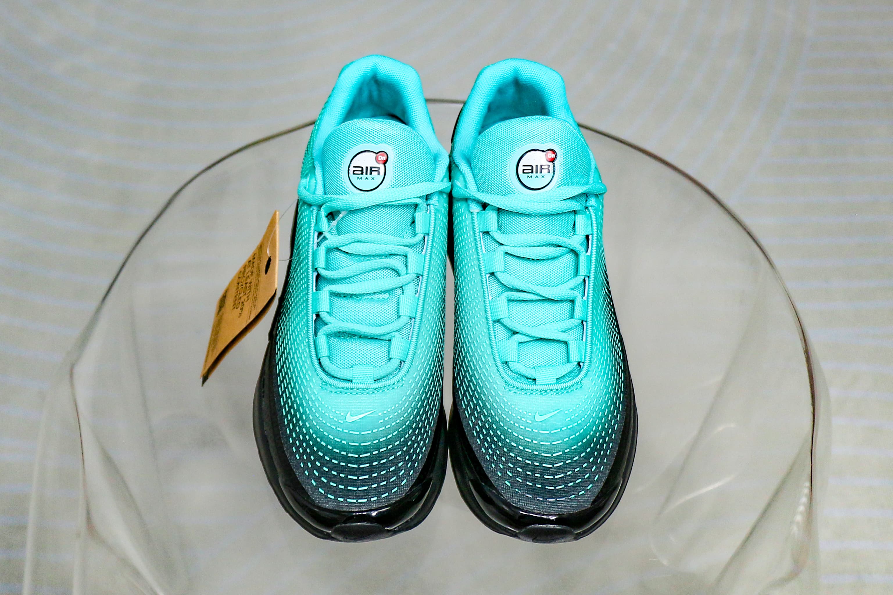 Nike Air Max Dn Premium Dusty Cactus Light Aqua Dynamic Turquoise Black